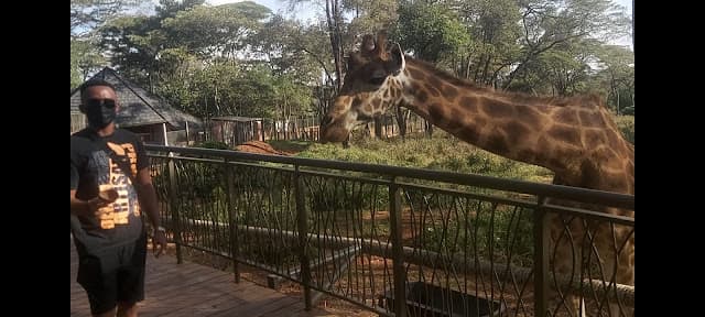 Image for Tourist attractions in Nairobi